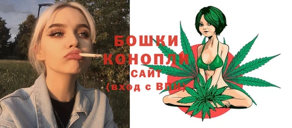 PSILOCYBIN Аша