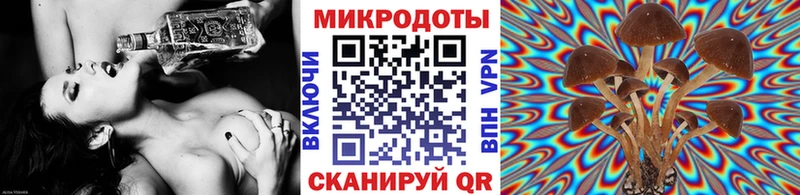 Псилоцибиновые грибы мухоморы Владикавказ