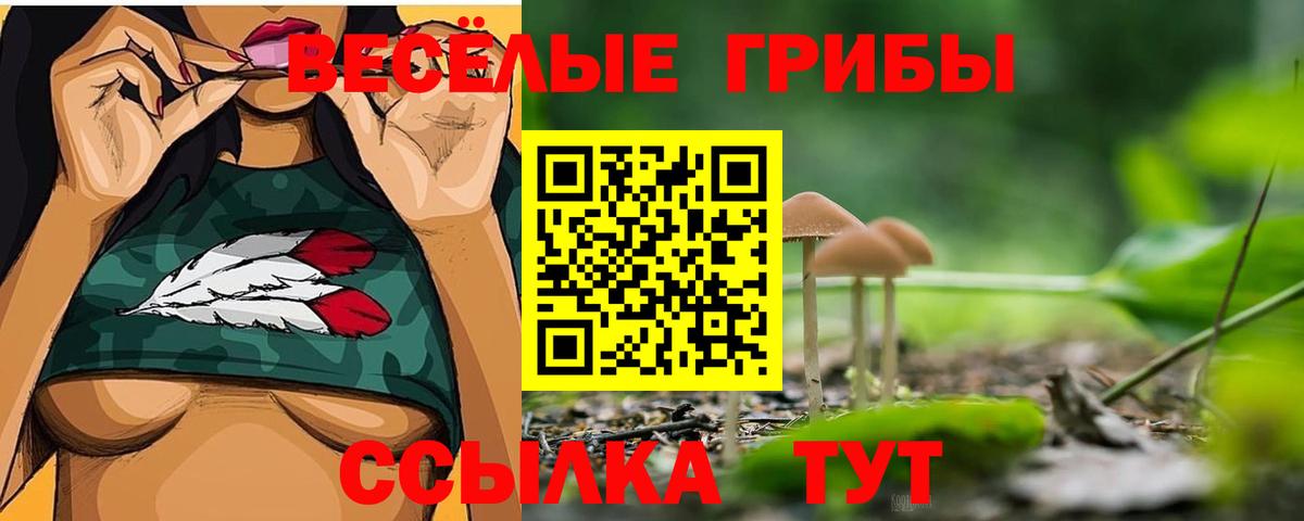 Галлюциногенные грибы мицелий Владикавказ