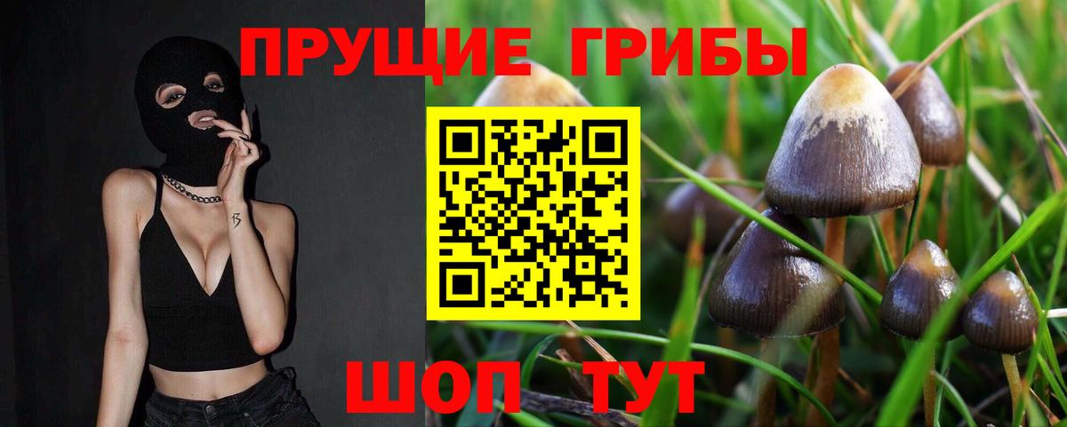 Галлюциногенные грибы MAGIC MUSHROOMS  Вход с VPN  Владикавказ  Галлюциногенные грибы Psilocybine cubensis 